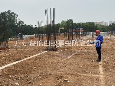 神山新建白蚁预防工程
